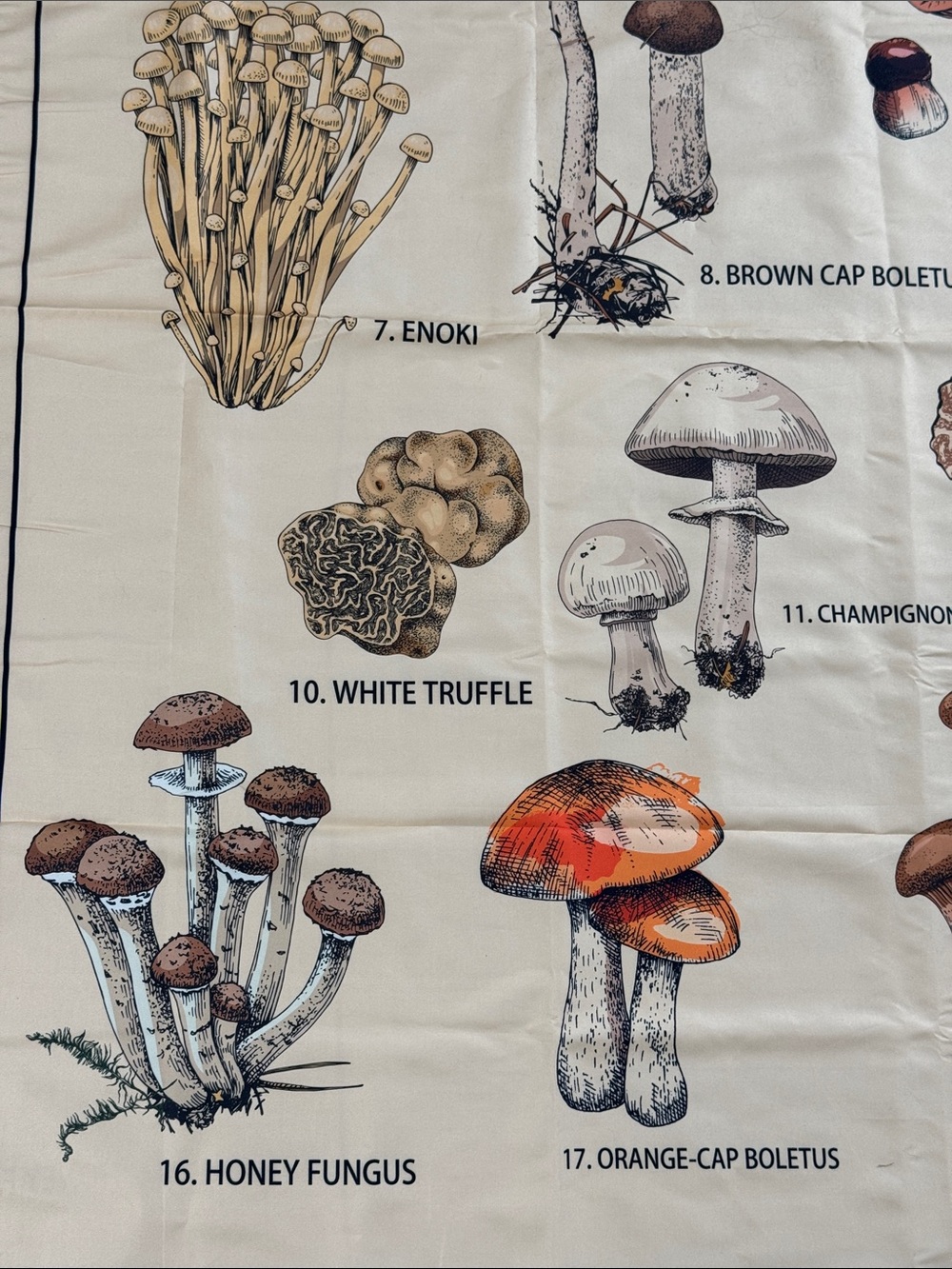 MUSHROOM BOTANICAL FABRIC WALL HANGING 58.5” x 50” COTTAGECORE FUNGI - Picture 8 of 11